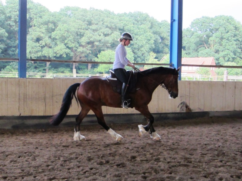 canter.JPG