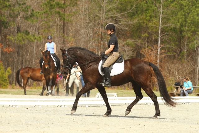 FenRidgeDressage_2314-1753921699-O.jpg