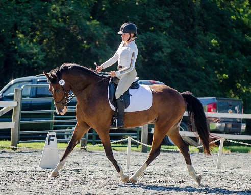 wally_sara_trot_side-small.jpg