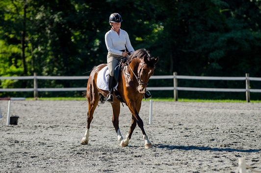 wally_sara_trot_front_small.jpg