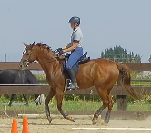 August Canter.JPG