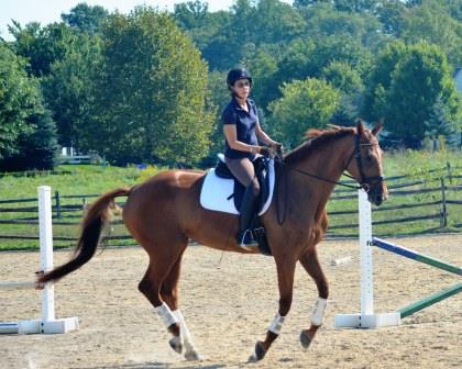 Canter right small.jpg