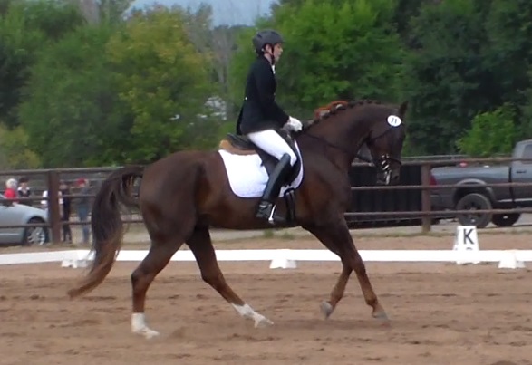 canter1.jpg