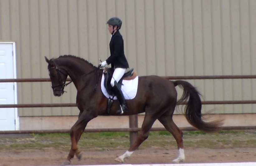 canter6.jpg