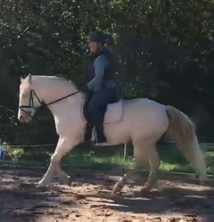 Canter homework2.JPG