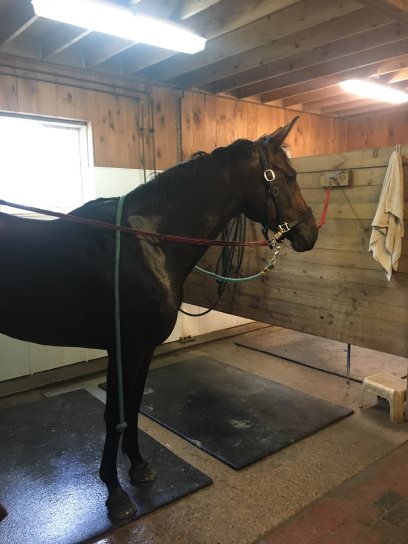 Wash Stall Success.jpg