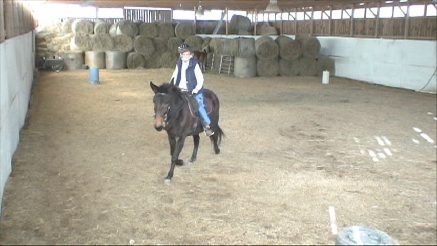 Doris 120715 inside trot.jpg