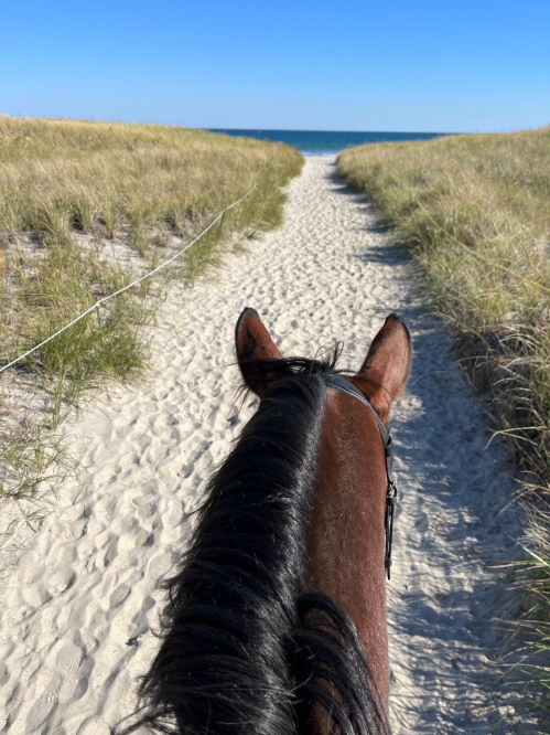 beach view.jpg