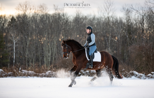 Snow Canter.jpg